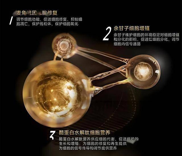 去平潭追“蓝眼泪”，去义乌体验进货游！县域游、反向游因何而火，能否连续